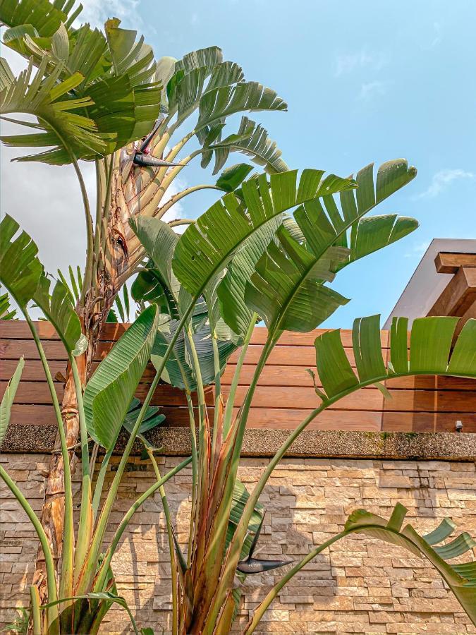 לינה וארוחת בוקר ג'יאושי Yage Hotspring House מראה חיצוני תמונה