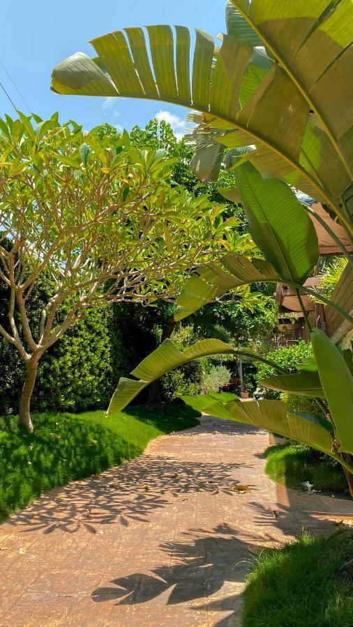 לינה וארוחת בוקר ג'יאושי Yage Hotspring House מראה חיצוני תמונה